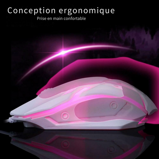Souris ergonomique RGB