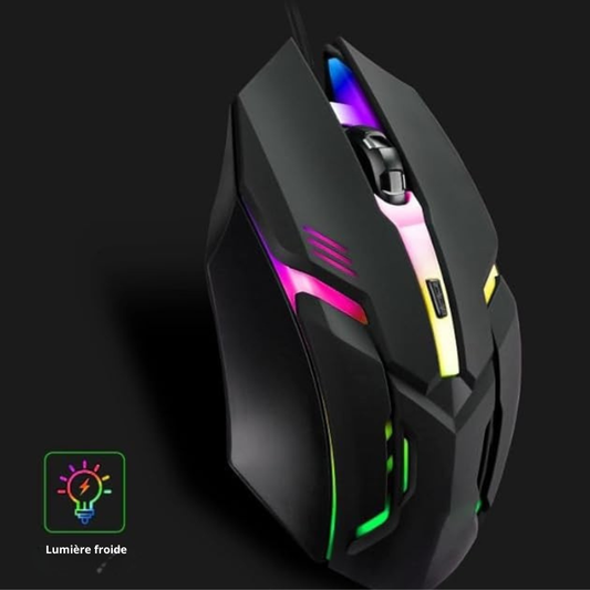 Souris ergonomique RGB